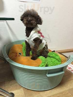 HOGOKEN CAFE鶴橋店