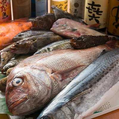 備長炭炭火焼　居魚菜々 わさびの花 西九条