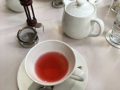 ベンジャミーナ