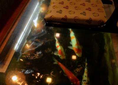 変りすし処 ふなおか