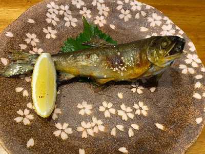 居酒屋コステロ