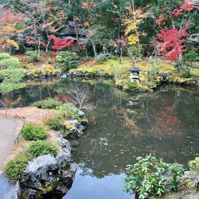 日本庭園 吉城園