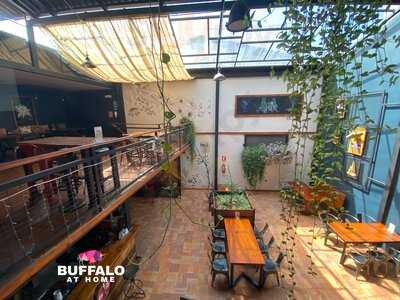 Buffalo At Home