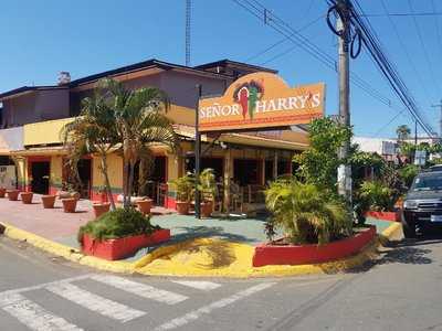 Señor Harry's