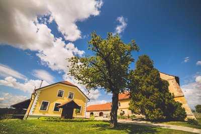 Restoran Terbotz