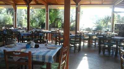 Tzogia's Taverna