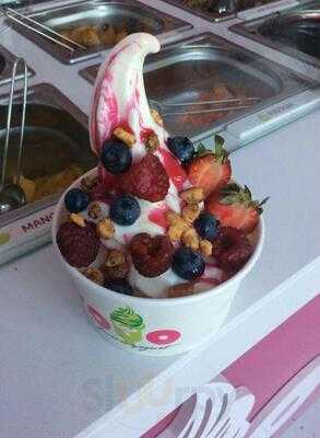 Froyo - Premium Frozen Jogurt