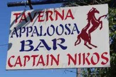 Captain Nikos Appaloosa