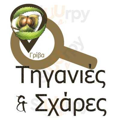 Τηγανιές & Σχάρες