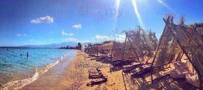 Coconut Life On A Beach