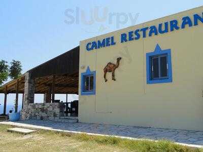 Camel Fish Restaurant & Camel Beach