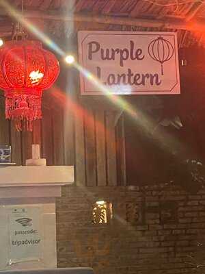 Purple Lantern( An Bang Beach Hoi An)