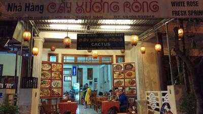 Cactus Restaurant Hoi An