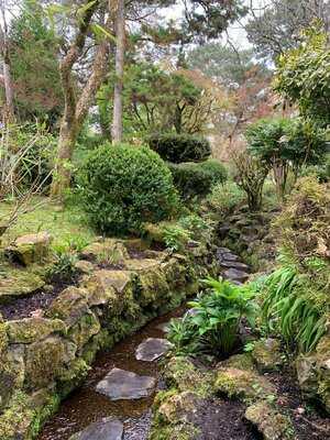 Japanese Gardens Cafe