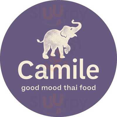 Camile Thai Greystones