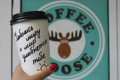 Coffee Moose