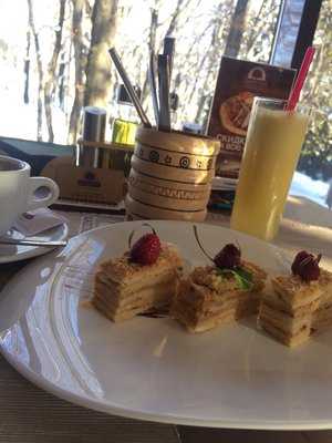 Каштан