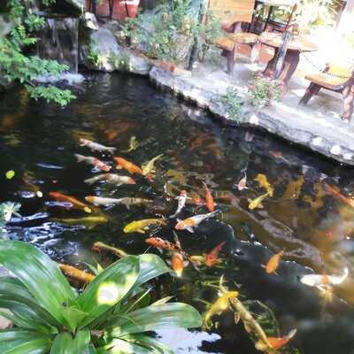 Verona Cafe & Restaurant