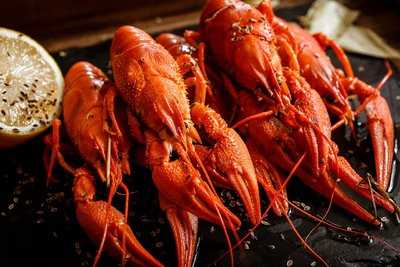 Раковарня ИВАНА РАКОВАРА