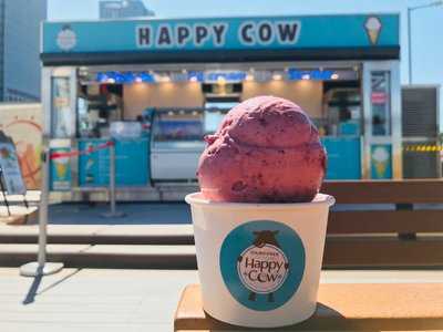 Happy Cow Ice Cream (central Wheel Shop)