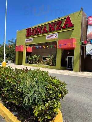 Bonanza