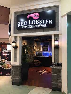 ‪red Lobster‬