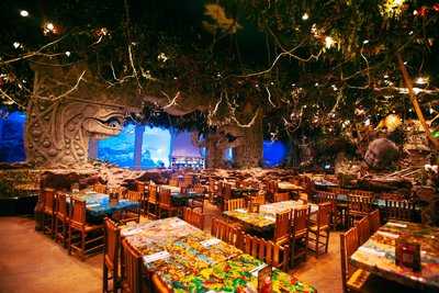 ‪rainforest Cafe‬