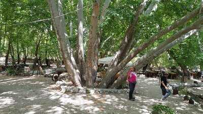 Çağlayan Park Restaurant