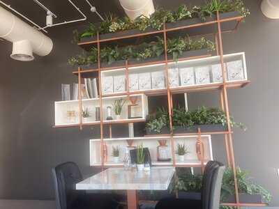 ‪surge Coffee Roasters‬