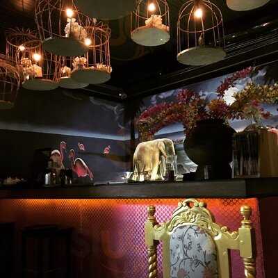 ‪Flamingo Kitchen‬