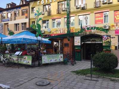 Cafe Park Plyus