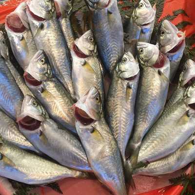 Ismet Balik Lokantasi