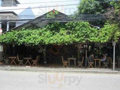 Kingston Jamaica Bar &  Restaurant