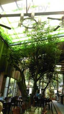 老爸的後花園