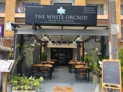 The White Orchid