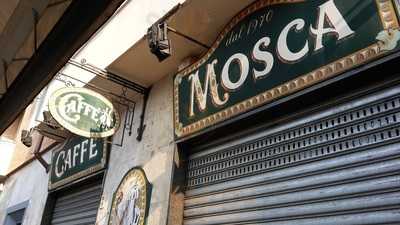 Mosca Donato, Torino