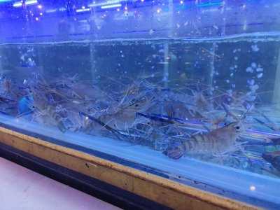 Bkk Seafood Premium, กรุงเทพมหานคร (กทม.)