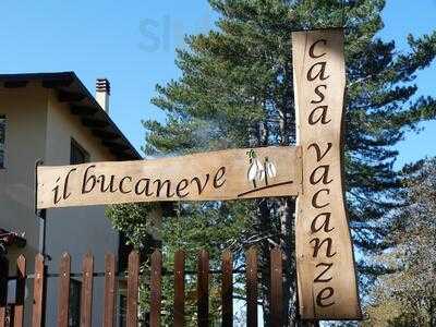 Il Bucaneve