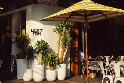 Lucky Fish, กรุงเทพมหานคร (กทม.)