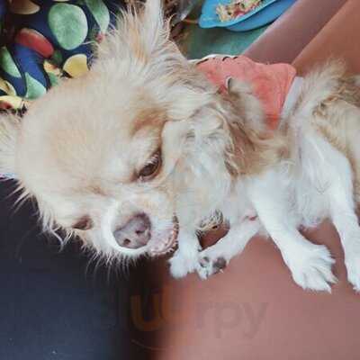 น้ำฝนต้นตาล ขนมเค้ก