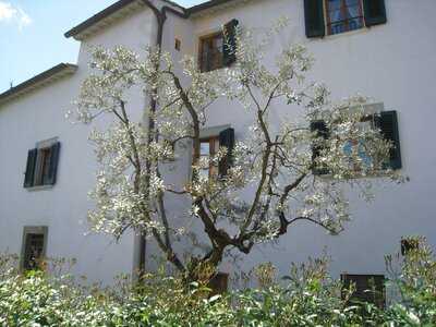 Ristorante Villa Bordoni