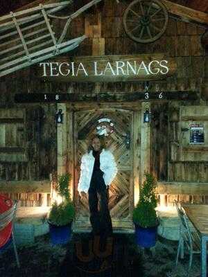 Tegia Larnags