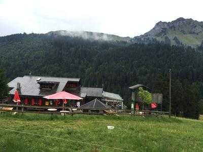 Cabane Du Petit Oiseau