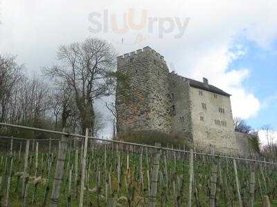 Schlossrestaurant Habsburg menu