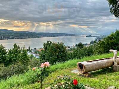 Frohe Aussicht Oberrieden