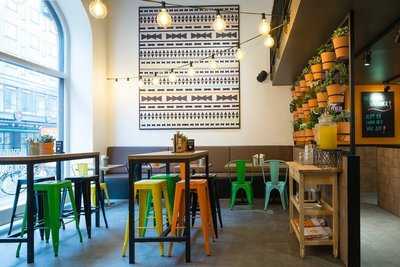 Zocalo - Fresh Happy Mex