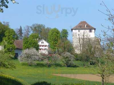 Gasthaus Schlosshalde