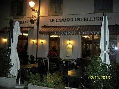 Canard Intelligent