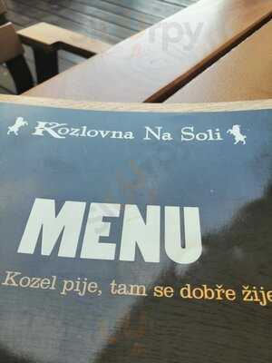 Kozlovna Na Soli