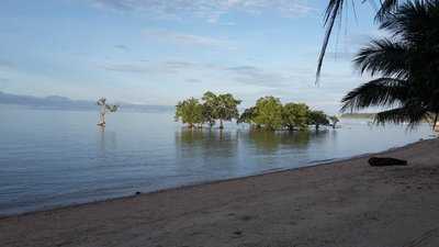 Southern Leyte Divers Restaurant